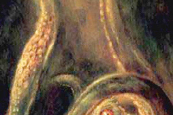 Кракен почему не заходит