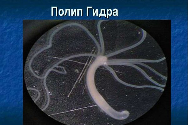 Кракен маркетплейс актуальные ссылки