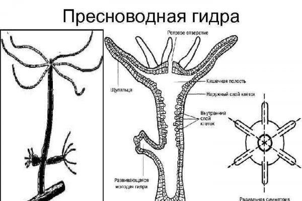 Kraken ссылка актуальная москва